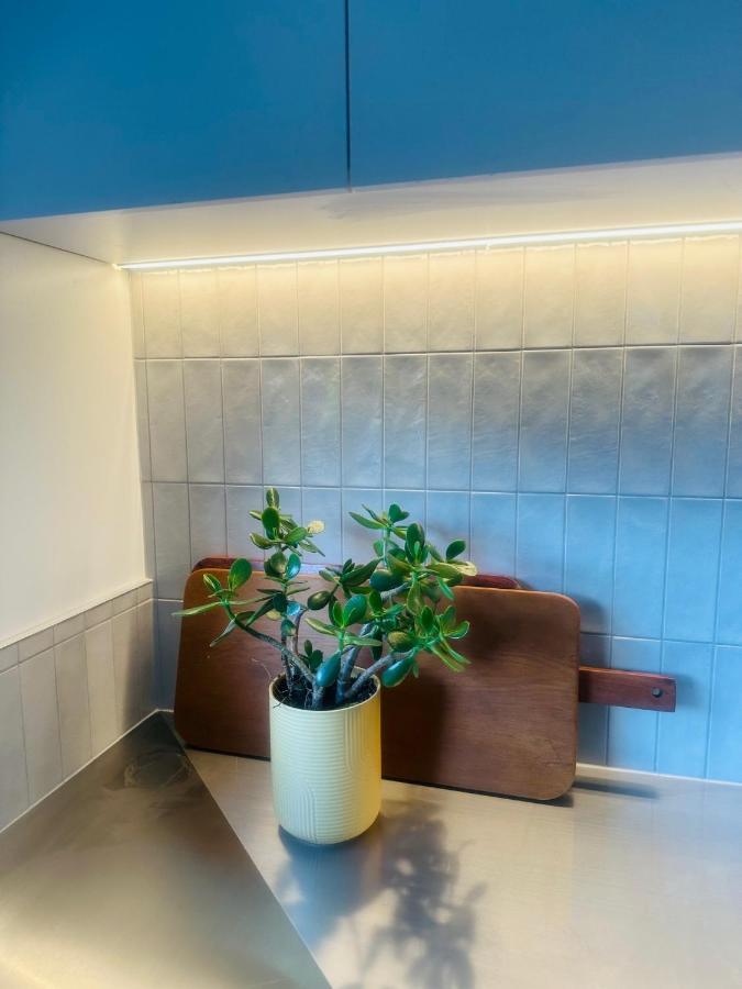 2 Bed Beckenham Beauty - Pet Friendly Villa Christchurch Eksteriør billede